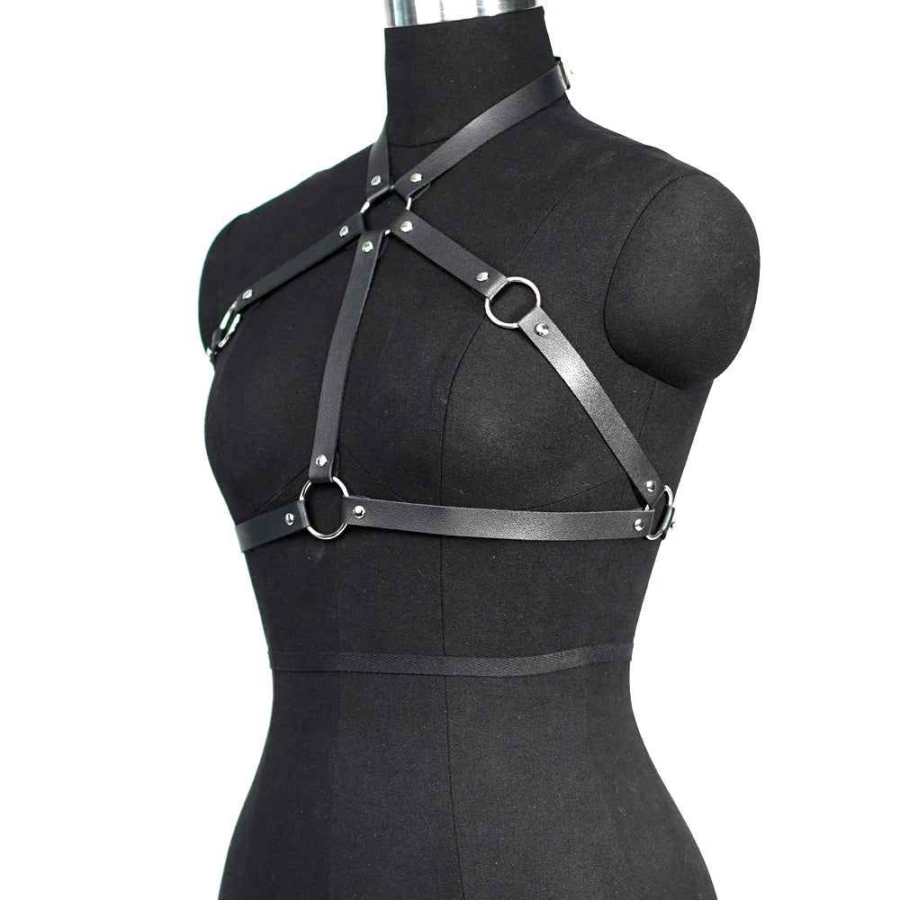 Deviant Strapped Harness